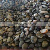 Multicolor Pebble Stone ,cobble thumbnail-2