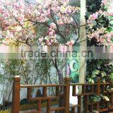 Cherry Flower Tree Man Made Sakura Plant Tree thumbnail-5