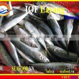 IQF LAYANG SCAD WHOLE ROUND thumbnail-3