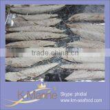 King Marine New Coming Mackerel All Types of Seafood thumbnail-1