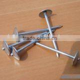 Galvanized Roofing Nail thumbnail-1