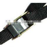 Cam Tie Down for Boat Trailer 1"x6' thumbnail-3