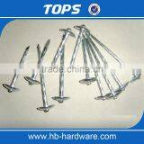 China Umbrella Head Roofing Nails thumbnail-3
