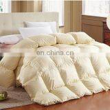 Winter Double Goose/duck Down Duvet thumbnail-1