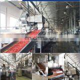Wholesale Food Processing Equipment Belt Dryer Machine Made in China thumbnail-4