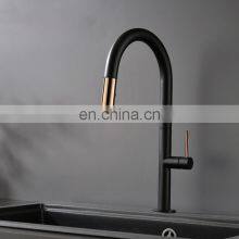 Professional Brass Kitchen Faucet Pull Out