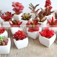Home Decor Faux Artifical Pot Plants Supplier Ornamental Handmade White Ceramic Potted Plant Artificial Succulent Plants In Pot thumbnail-2