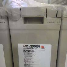 German Silver Fir Battery 2VEG1000 China General Agent thumbnail-4