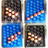 China Wholesale Custom Food Grade Mango Plastic Tray thumbnail-1