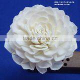 Flower for Decoration