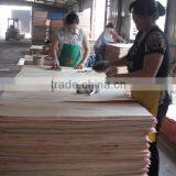 Poplar Plywood Sheet for Construction Plywood thumbnail-4