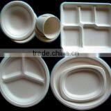 Sugarcane Product thumbnail-1