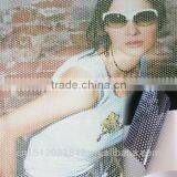 Cloth Sticker One Way Vision