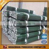 High Quality Green Painted 6ft Securing T Post