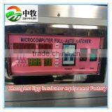 Capacity 4224 Chicken Eggs Cheap Egg Incubator for Sale thumbnail-2