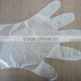 Food Grade Disposable Polyethylene Gloves thumbnail-4