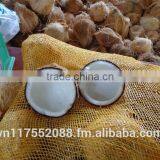 Semihusk Mature Coconut thumbnail-3