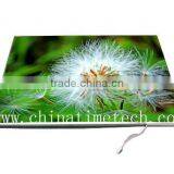 China 17.0" LCD Screens B170PW03 V.0 thumbnail-1