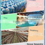 Carbon Steel Sprayed Complete PSA Oxygen System Corona Discharge 40g Ozone Generator for Wastewater Treatment thumbnail-5