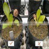 Brands Supplier Provide High Grade Agriculture Amino Acid Powder Fertilizer With Beautiful Package thumbnail-4