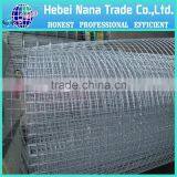 Cheap Electro Galvanized Welded Wire Mesh From China thumbnail-4