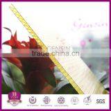 Grade A 6mm UV Resistant Two Wall Polycarbonate Sheet thumbnail-2