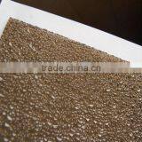 Observe Window PC Embossed Sheet