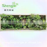 SJLJ013343 Plastic Grass Wall / Fake Green Grass Wall for Garden Home Decoration thumbnail-6
