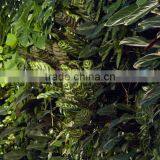 Home and Outdoor Decoration Synthetic Cheap Artificial Vertical Green Grass Wall E08 04Q47 thumbnail-4