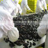 IQF Blue Mussel Without Shell thumbnail-1