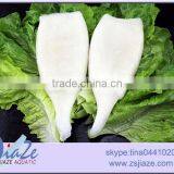 Pacific Squid thumbnail-3