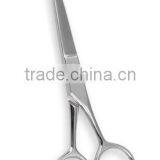 Professional Barber Scissors