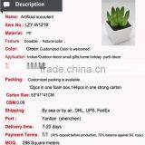 Wholesale Artificial Mini Succulent Plant Artificial Small Potted Plant thumbnail-5