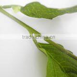 Wedding Table Centerpieces Fabricsilk Hydrangea Flower Artificial thumbnail-6