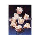 Sola Handmade Flowers thumbnail-1