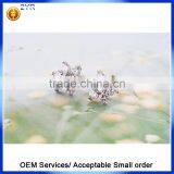 Aaa Cubic Zirconia Earring Classic 925 Streling Silver Stud Earring thumbnail-2