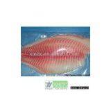 Frozen Tilapia Fillets(EU APP) thumbnail-1
