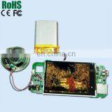 7 Inch Tft Lcd Screen Module and Another Size for Video Card