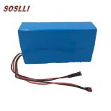 Top quality 48V 20Ah lithium iron phosphate LiFePO4 battery pack for electric bicycle e bike
