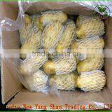 100% Organic Apple/Fuji Apple/Fresh Apples thumbnail-4