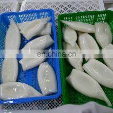 Frozen Illex Squid Tube Price Seafood thumbnail-5