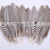 wholesale natural feather pheasant feathers sale for party trims