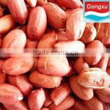 red peanut kernels