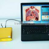 3D NLS Body Health Analyzer