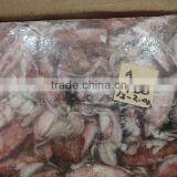 FROZEN SQUID LOLIGO WHOLE thumbnail-3