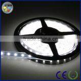 Hot Sale SMD5050 Led Strip 5m