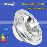 110V/220V LED Spotlight Without Driver