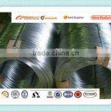 Steel Wire ( Hot Sale !!!)