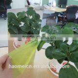 Made in China 1070 Aluminium Sheet Gold Color Mirror Finish