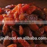 China High Quality AA Sultana Raisin With Red Color thumbnail-3